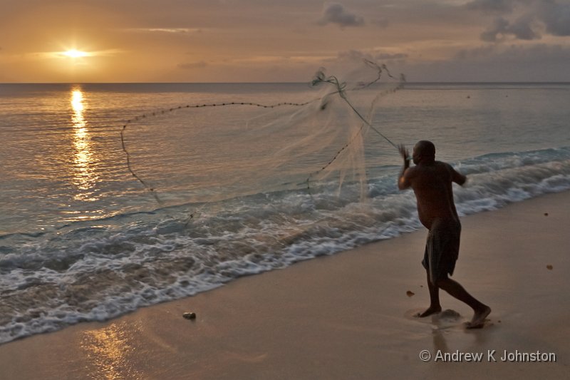 0408_40D_2675 C1.jpg - Fisherman casting net on Gibb's Beach, Barbados. Developed with Capture One 7